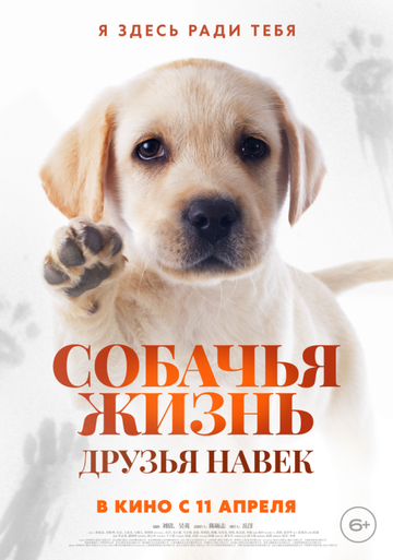 Смотреть Собачья жизнь: Друзья навек онлайн в HD качестве 720p